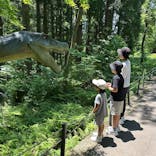 福井県立恐竜博物館に投稿された画像（2025/6/8）