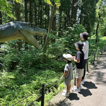 福井県立恐竜博物館に投稿された画像（2025/6/7）