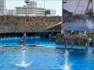 名古屋港水族館に投稿された画像（2025/6/7）