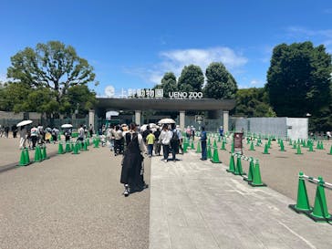 恩賜上野動物園に投稿された画像（2025/6/7）