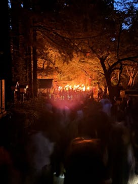 大山ツアーデスクに投稿された画像（2025/6/7）