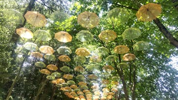 ムーミンバレーパークに投稿された画像（2025/6/7）