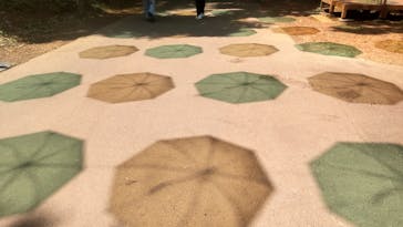 ムーミンバレーパークに投稿された画像（2025/6/7）