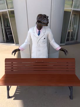 福井県立恐竜博物館に投稿された画像（2025/6/8）