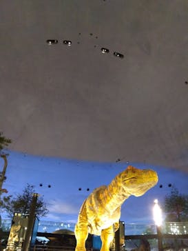 福井県立恐竜博物館に投稿された画像（2025/6/8）