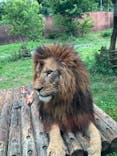 東京動物園協会_多摩動物公園に投稿された画像（2025/6/8）