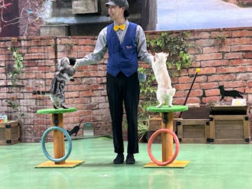 那須どうぶつ王国に投稿された画像（2025/6/8）