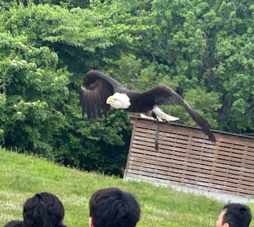那須どうぶつ王国に投稿された画像（2025/6/8）