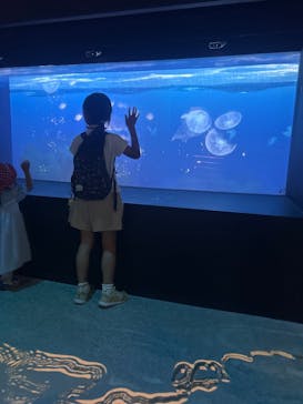 鴨川シーワールドに投稿された画像（2025/6/8）