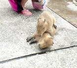 伊豆アニマルキングダムに投稿された画像（2025/6/8）