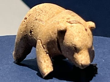 特別展「古代DNA－日本人のきた道」（国立科学博物館）に投稿された画像（2025/6/8）