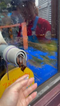 ゼロ距離水族館 伊勢シーパラダイスに投稿された画像（2025/6/8）