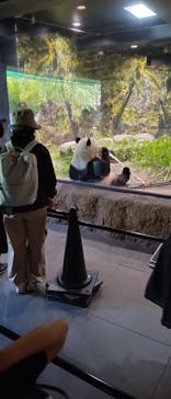 恩賜上野動物園に投稿された画像（2025/6/8）