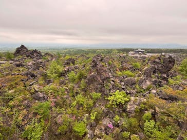 鬼押出し園に投稿された画像（2025/6/8）