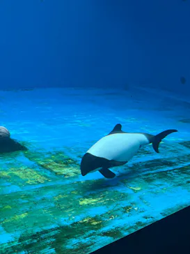 仙台うみの杜水族館に投稿された画像（2025/6/8）