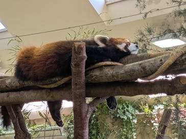 那須どうぶつ王国に投稿された画像（2025/6/8）