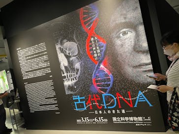 特別展「古代DNA－日本人のきた道」（国立科学博物館）に投稿された画像（2025/6/8）