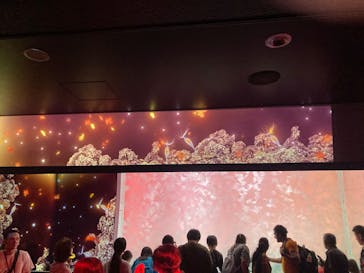 アクアワールド茨城県大洗水族館に投稿された画像（2025/6/8）