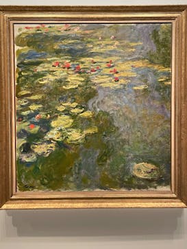 モネ　睡蓮のときに投稿された画像（2025/6/8）