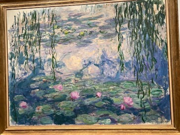 モネ　睡蓮のときに投稿された画像（2025/6/8）