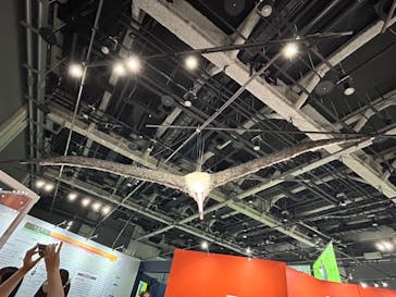 特別展「鳥～ゲノム解析が解き明かす新しい鳥類の系統～」に投稿された画像（2025/6/8）