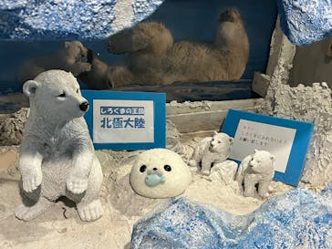 滋賀農業公園ブルーメの丘に投稿された画像（2025/6/8）