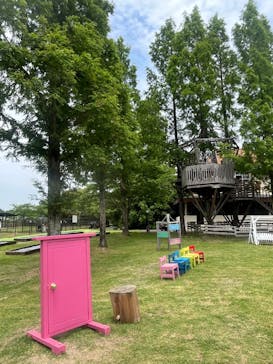 滋賀農業公園ブルーメの丘に投稿された画像（2025/6/8）