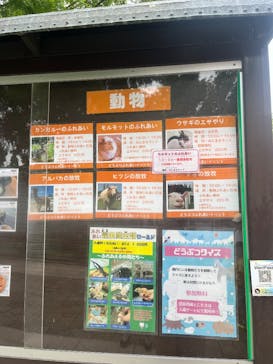 滋賀農業公園ブルーメの丘に投稿された画像（2025/6/8）