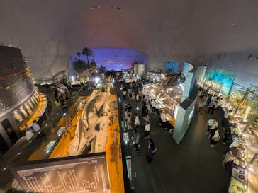 福井県立恐竜博物館に投稿された画像（2025/6/8）