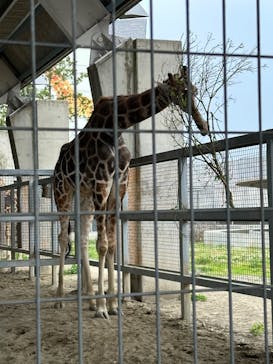 霞ケ浦 どうぶつとみんなのいえに投稿された画像（2025/6/8）