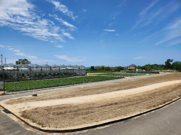 淡路ファームパーク イングランドの丘に投稿された画像（2025/6/8）