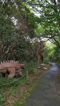 伊豆アニマルキングダムに投稿された画像（2025/6/8）