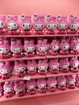 サンリオピューロランドに投稿された画像（2025/6/8）