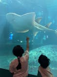 葛西臨海水族園に投稿された画像（2025/6/8）