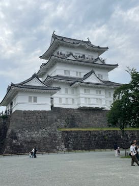 小田原城に投稿された画像（2025/6/8）