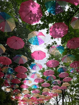 ムーミンバレーパークに投稿された画像（2025/6/8）