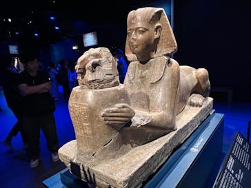 ACN ラムセス大王展 ファラオたちの黄金に投稿された画像（2025/6/8）