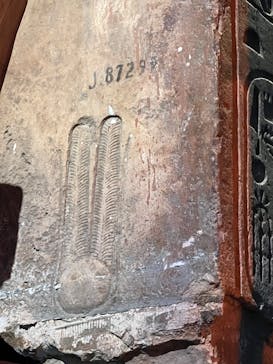 ACN ラムセス大王展 ファラオたちの黄金に投稿された画像（2025/6/8）