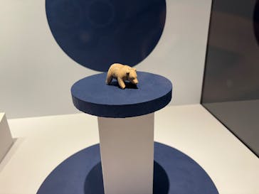 特別展「古代DNA－日本人のきた道」（国立科学博物館）に投稿された画像（2025/6/8）