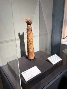 特別展「古代DNA－日本人のきた道」（国立科学博物館）に投稿された画像（2025/6/8）