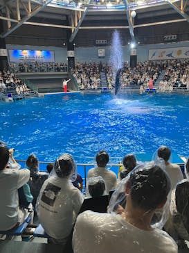 マクセル アクアパーク品川に投稿された画像（2025/6/8）