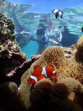 宮古島マリンショップSmileyに投稿された画像（2025/6/8）