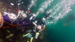 伊豆高原ダイビングスクール　リトルリッツに投稿された画像（2025/6/8）