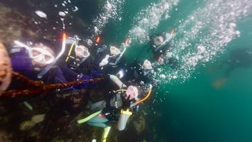 伊豆高原ダイビングスクール　リトルリッツに投稿された画像（2025/6/8）