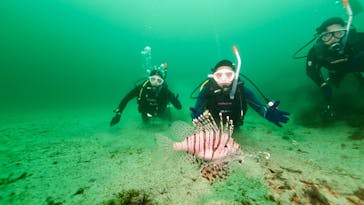 伊豆高原ダイビングスクール　リトルリッツに投稿された画像（2025/6/8）