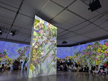 モネ　イマーシブ・ジャーニー　僕が見た光に投稿された画像（2025/6/8）