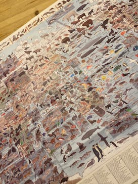 地球のお宝大集合！博物マニアに投稿された画像（2025/6/8）