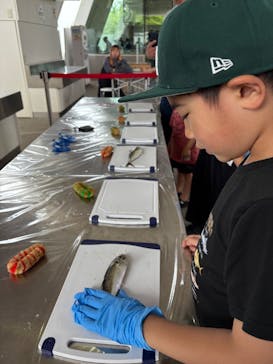 環境水族館アクアマリンふくしまに投稿された画像（2025/6/8）