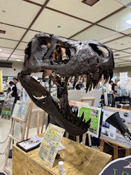 地球のお宝大集合！博物マニアに投稿された画像（2025/6/8）