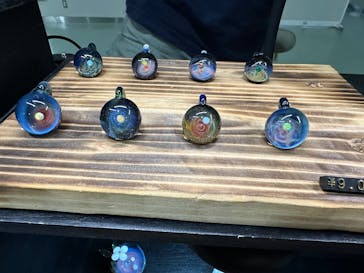 地球のお宝大集合！博物マニアに投稿された画像（2025/6/8）